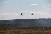 IMG_4966.JPG