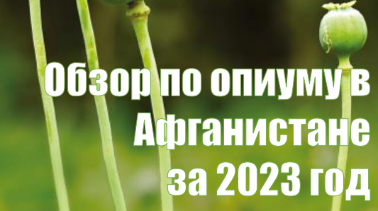 Обзор по опиуму в Афганистане за 2023 год Обзор по опиуму в Афганистане за 2023 год