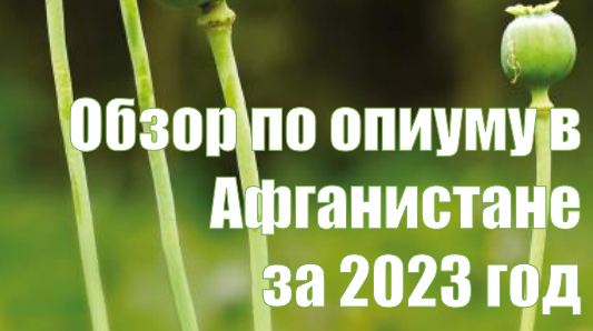 Обзор по опиуму в Афганистане за 2023 год