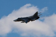 IMG_4768.JPG