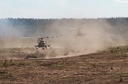 IMG_4976.JPG