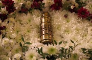 231037-05.jpg 231037-05.jpg