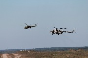 IMG_5735.JPG